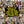 Load image into Gallery viewer, KIDS VS PARENTS
